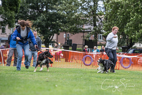 1943_BarkintheParkHuddersfield_2014_bluplanetphoto