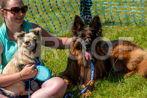 2017__PAWSFundogShow_July2022_cshaw