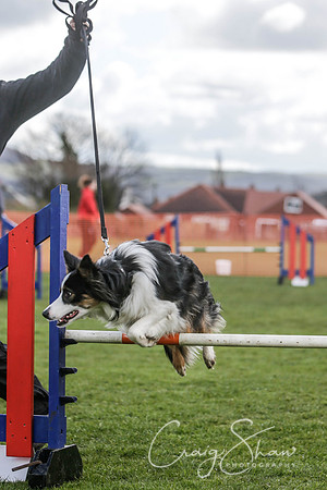 147__SpringersFunDay_March2014_bluplanetphoto
