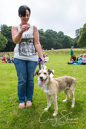RSPCA Dog Day Afternoon