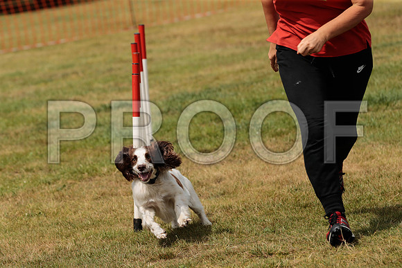 3105_SpringersFunDay2019_craigshawphoto