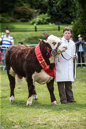 932_TodAgriculturalShow2014__bluplanetphoto