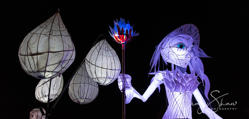 1053_LamplighterFestival2013_bluplanetphoto