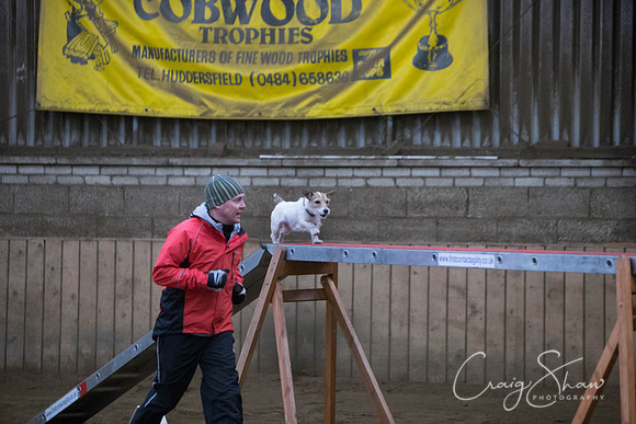 883_springfling2015_bluplanetphoto