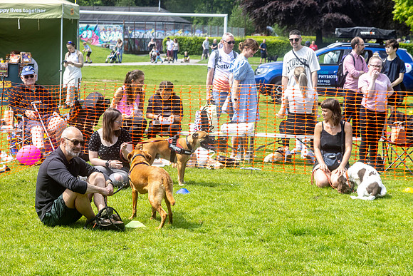 1995_HebdensHappyHounds2024_Cshaw-