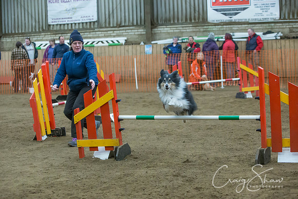 2536_springfling2015_bluplanetphoto