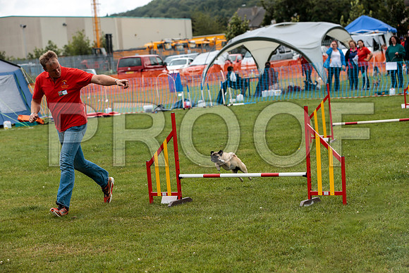 2617_SpringersFunDay2019_craigshawphoto-Edit