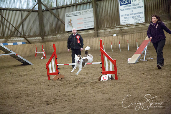 578_springfling2015_bluplanetphoto