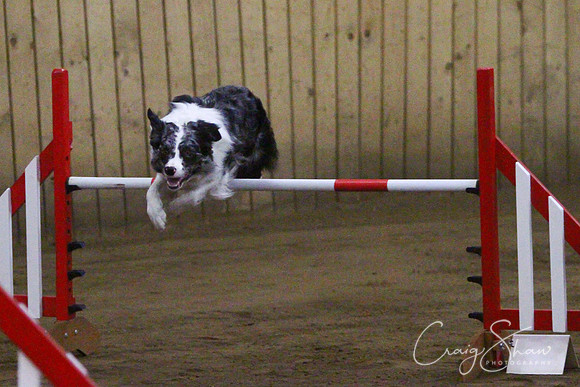 spring fling 2012-547