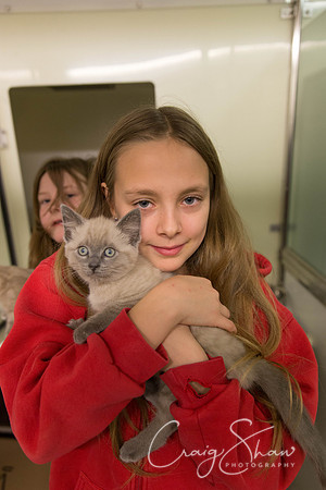 514_RSPCA_Christmas_Dec2013_bluplanetphoto