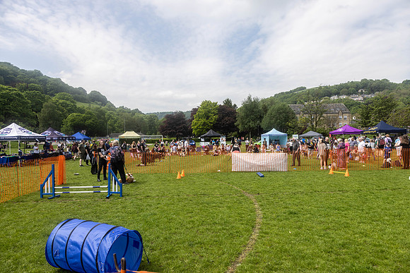 1964_HebdensHappyHounds2024_Cshaw-