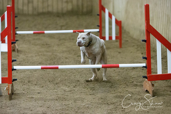 2835_springfling2015_bluplanetphoto