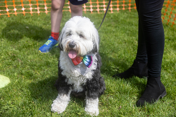 1843_HebdensHappyHounds2024_Cshaw-