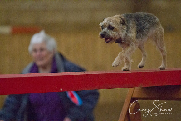 spring fling 2012-2270