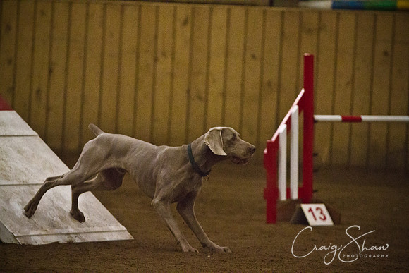 spring fling 2012-2220