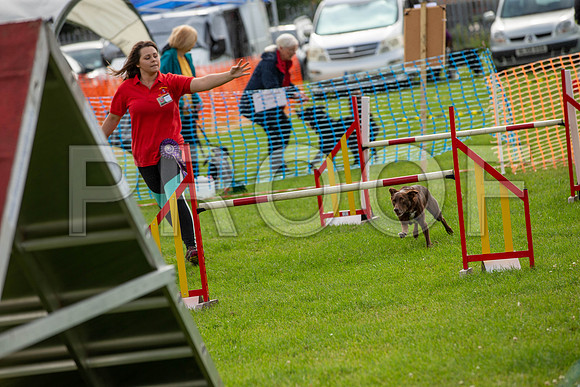 0806_SpringersFunDay2019_craigshawphoto