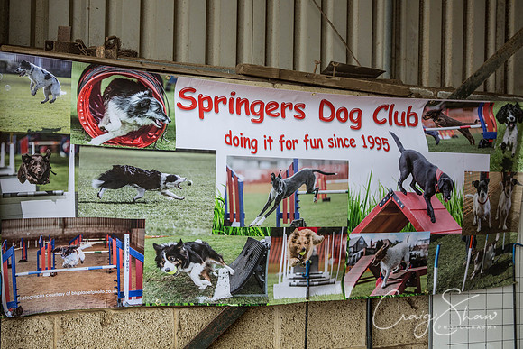 1722_springfling2015_bluplanetphoto