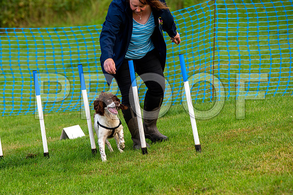 0048_SpringersFunDay2019_craigshawphoto