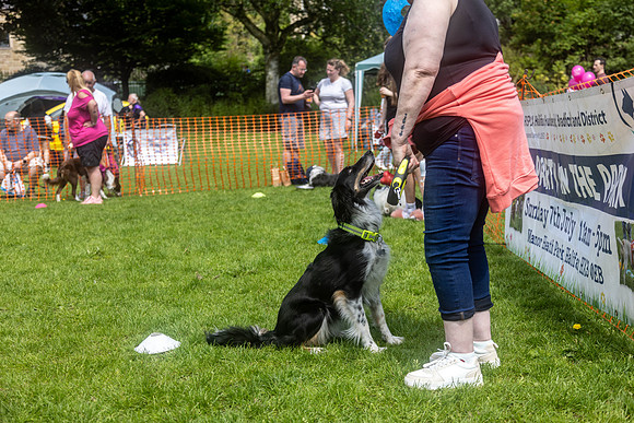 1985_HebdensHappyHounds2024_Cshaw-