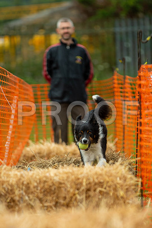 2813_SpringersFunDay2019_craigshawphoto