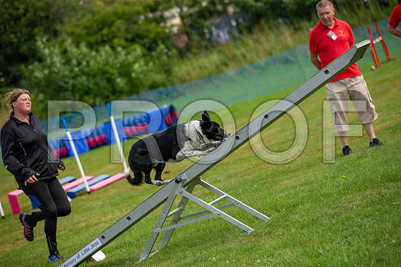 0898_SpringersFunDay2019_craigshawphoto