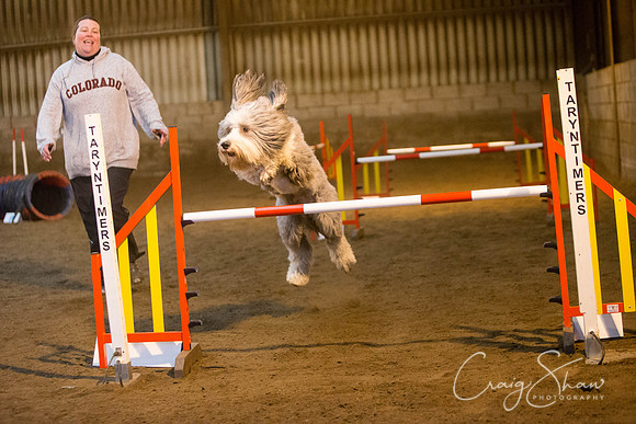 1119_springfling2015_bluplanetphoto