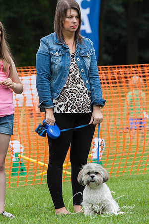 RSPCA Dog Day Afternoon