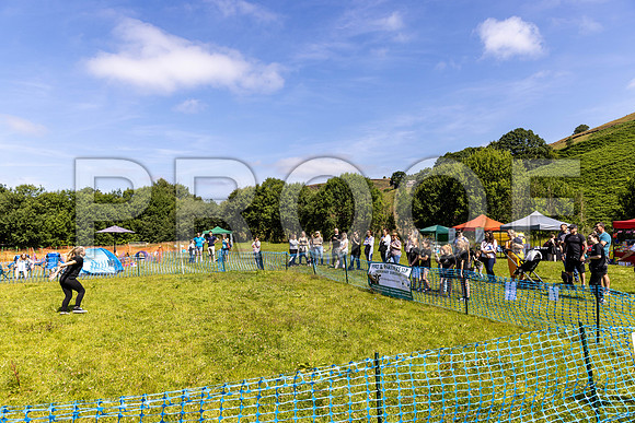 94__PAWSFundogShow_July2022_cshaw