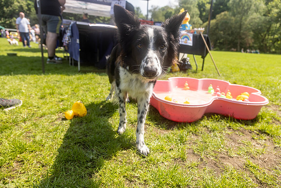 2223_HebdensHappyHounds2024_Cshaw-