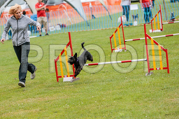 2700_SpringersFunDay2019_craigshawphoto