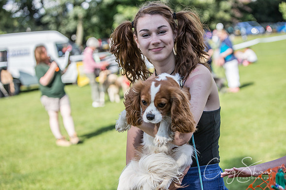 2183_K9Partyinthepark2014_RSPCAHalifax_bluplanetphoto