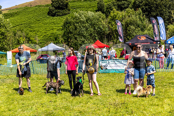 1927__PAWSFundogShow_July2022_cshaw
