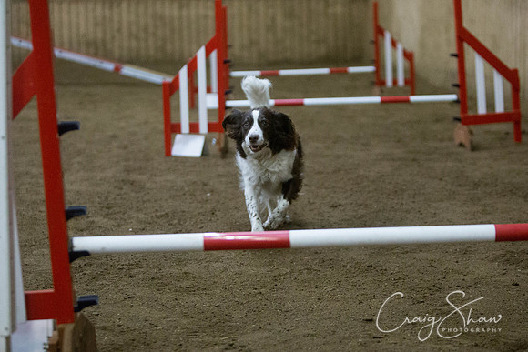 2886_springfling2015_bluplanetphoto