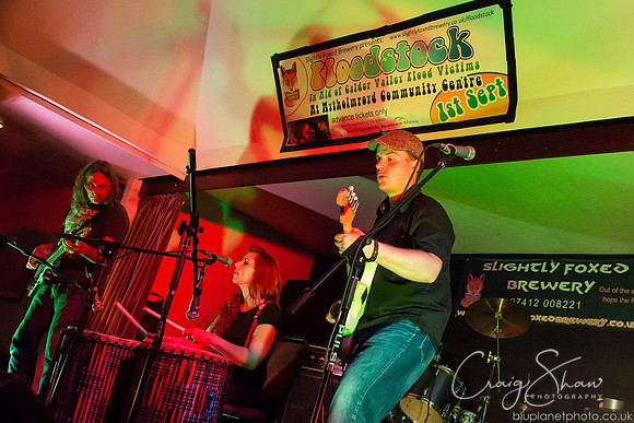 Floodstock 2012