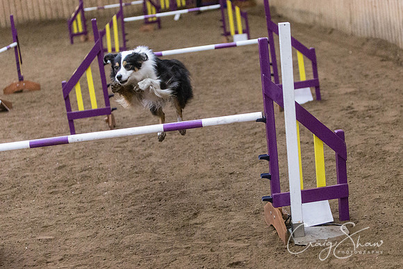 3065_SpringFling2014_bluplanetphoto