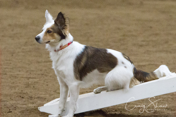 spring fling 2012-1480