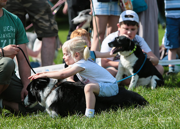 RSPCA K9 Party in the Park 2012