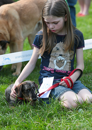 RSPCA K9 Party in the Park 2012