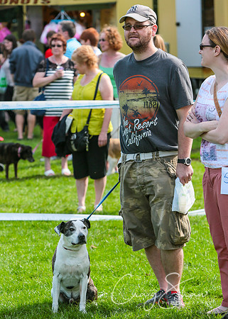 RSPCA K9 Party in the Park 2012