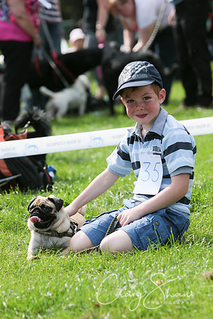 RSPCA K9 Party in the Park 2012