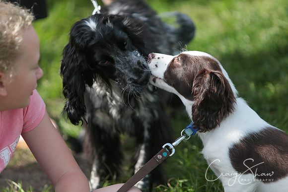 RSPCA K9 Party in the Park 2012