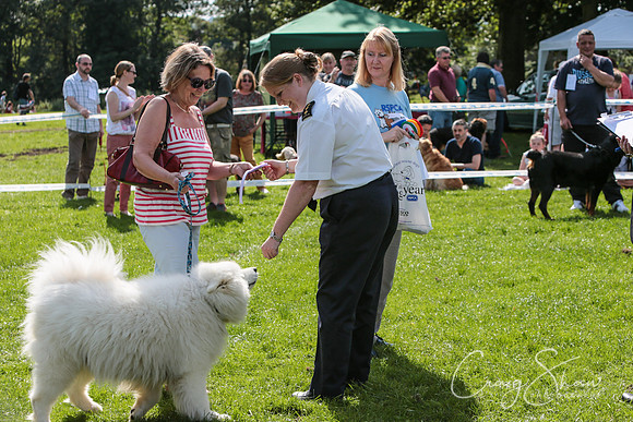 RSPCA K9 Party in the Park 2012