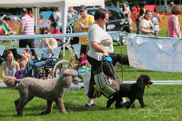 RSPCA K9 Party in the Park 2012
