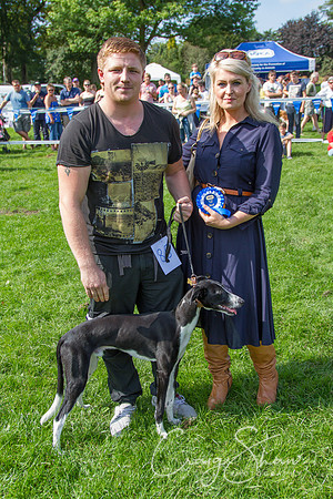 RSPCA K9 Party in the Park 2012