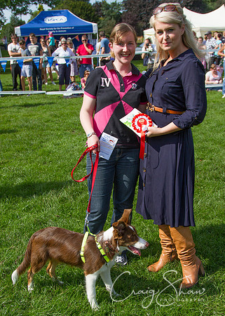 RSPCA K9 Party in the Park 2012