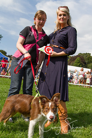 RSPCA K9 Party in the Park 2012