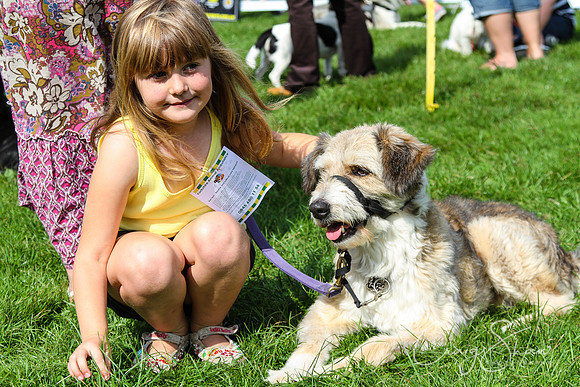 RSPCA K9 Party in the Park 2012