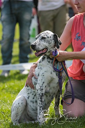 RSPCA K9 Party in the Park 2012