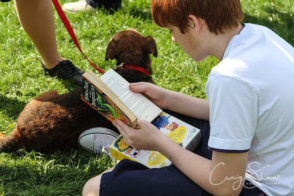 RSPCA K9 Party in the Park 2012