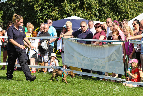 RSPCA K9 Party in the Park 2012